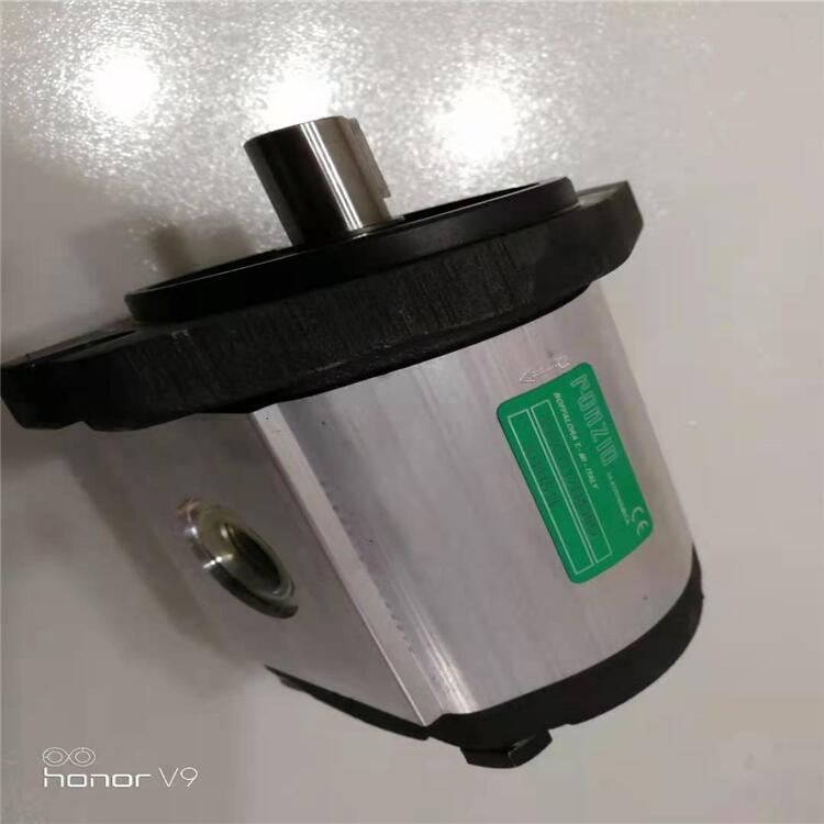 意大利RONZIO羅茨Z系列齒輪泵