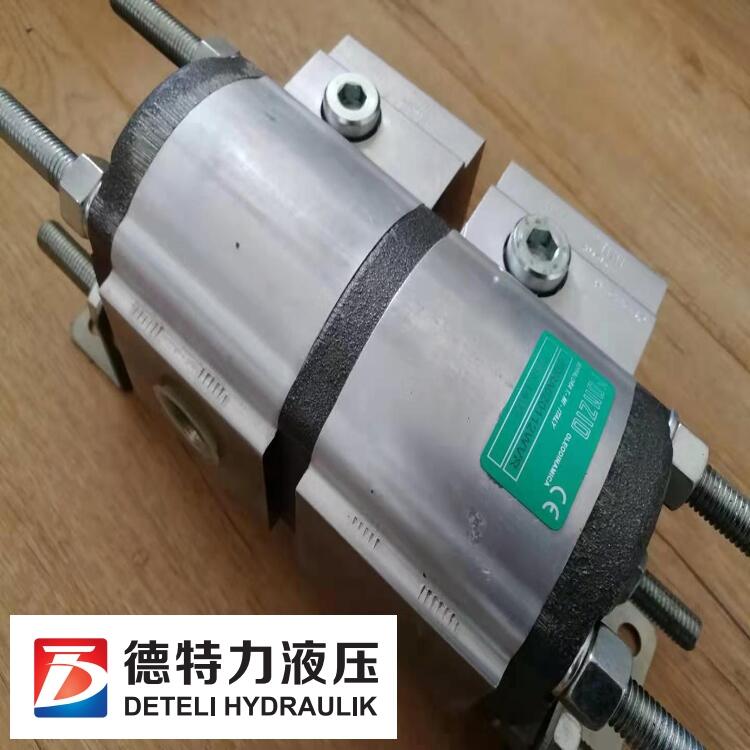 現(xiàn)貨意大利RONZIO分流馬達(dá)FDRA020172NV價(jià)格